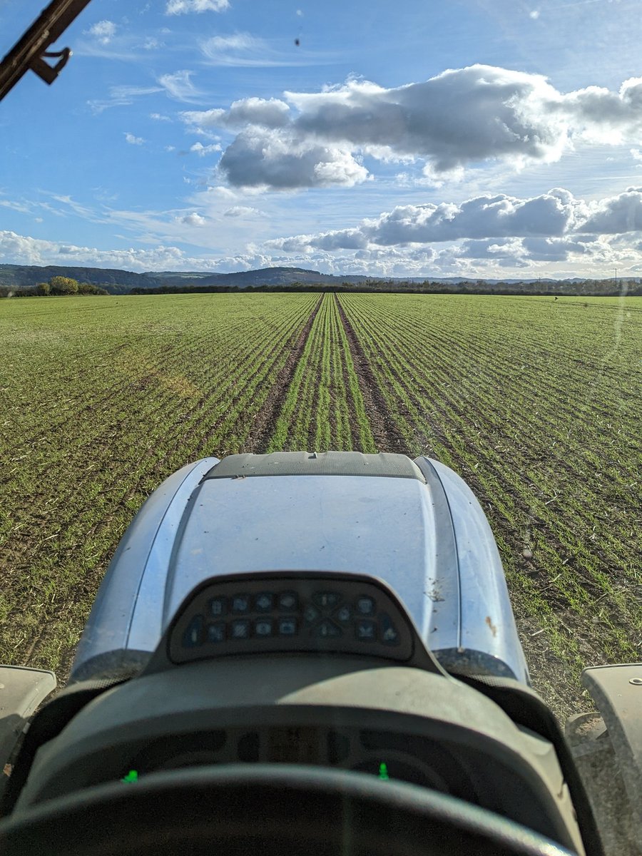 Ally Hunter Blair tweet media