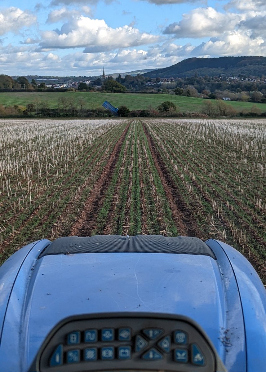 Ally Hunter Blair tweet media