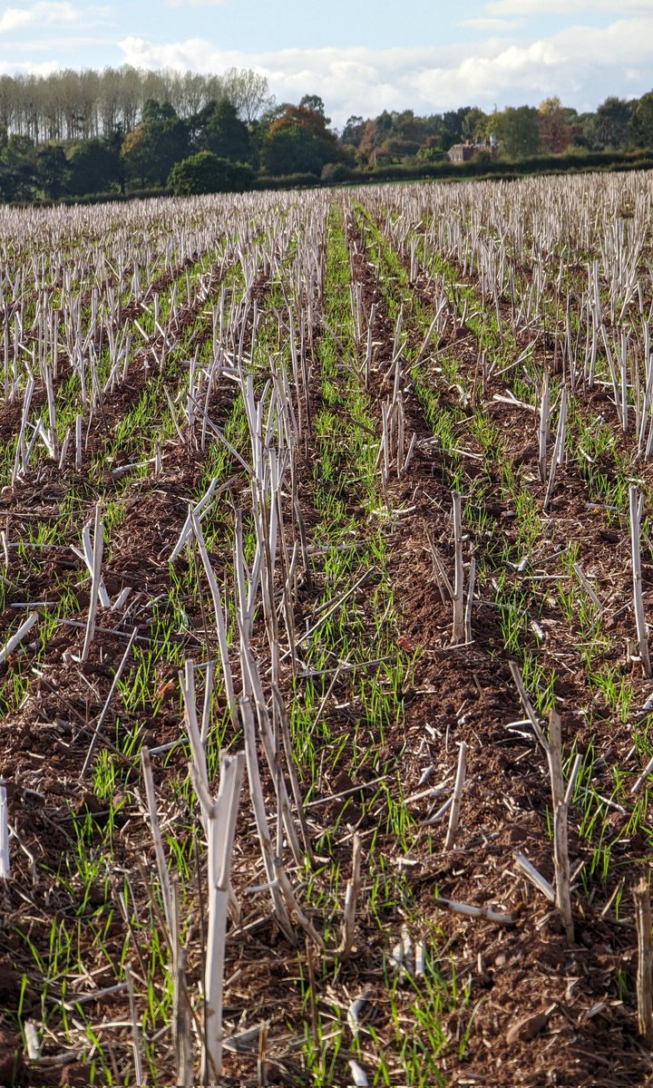 Ally Hunter Blair tweet media