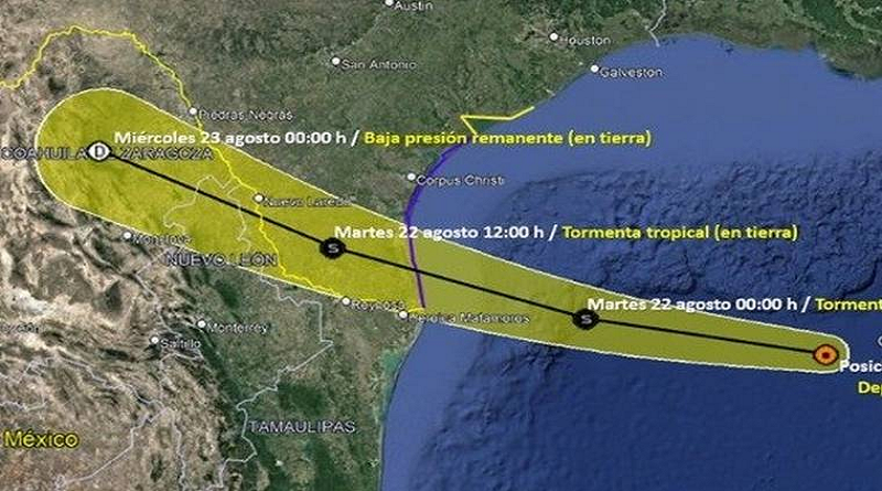 VTV CANAL 8 tweet media