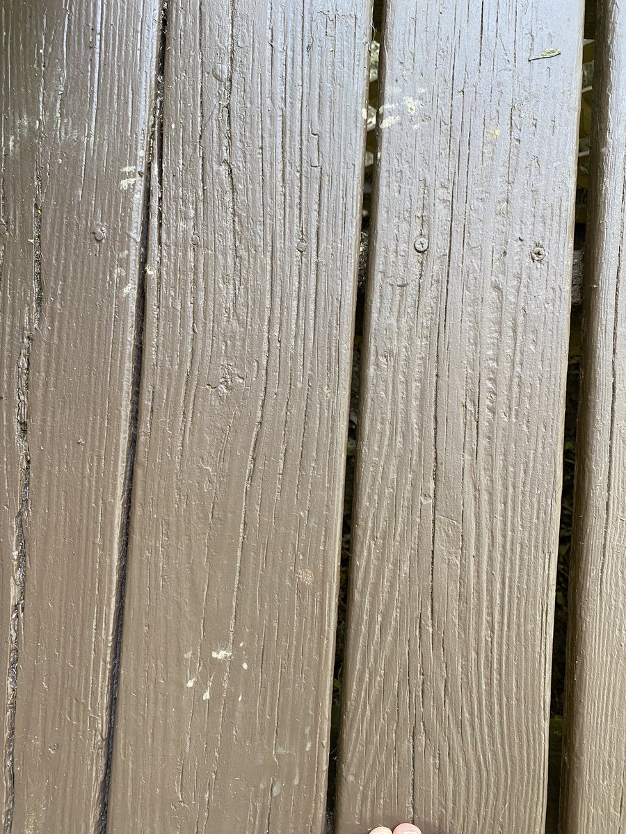 whatsthat's tweet image. Looks like I had a visitor and we missed each other. He tried the front and back doors. Was I not home? Could he not reach the doorbell? Does he lack the appropriate knuckle bones to knock? 😕