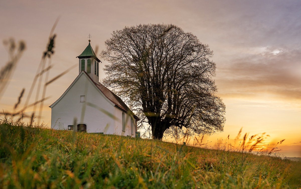 main_man33's tweet image. ✝️If anyone comes to you &amp;amp; does not bring this doctrine (of Christ), do not receive him into your house nor greet him✝️ 2 John 1:10 #Amen 

This warning can be applied to our churches today. Pastors, be watchful over who you allow to feed your sheep. #TruthInAction 😎🤙
