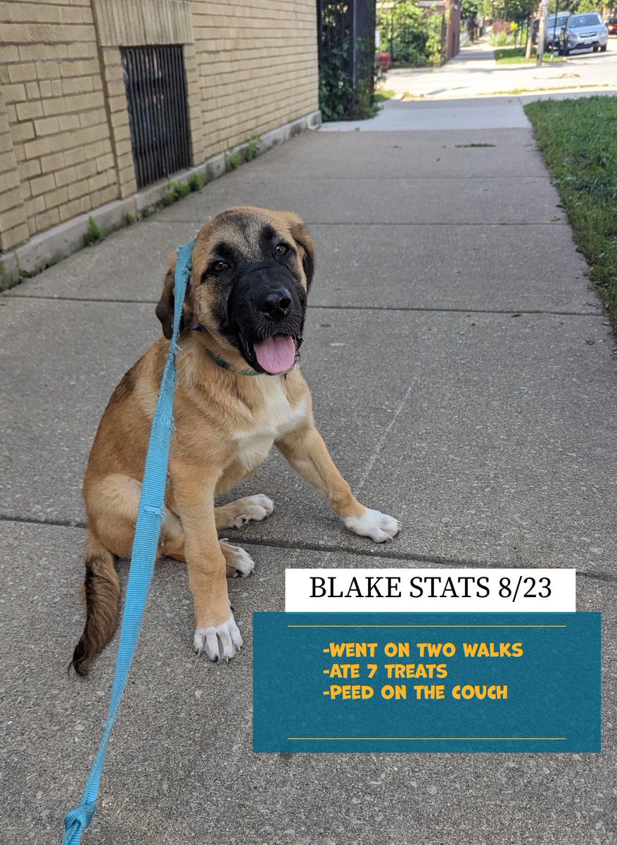 PFTCommenter's tweet photo. #BlakeStats https://t.co/sL97g1pjjv