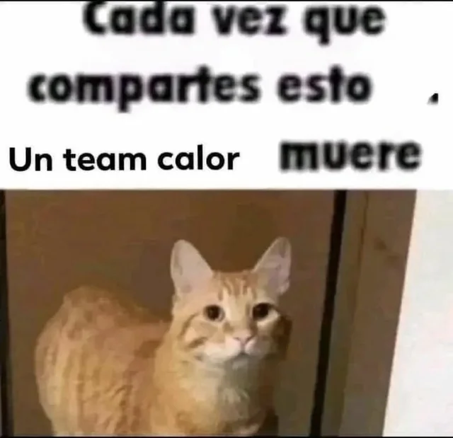 Beelce 🇪🇸 🇨🇴 (@beelce_) on Twitter photo 