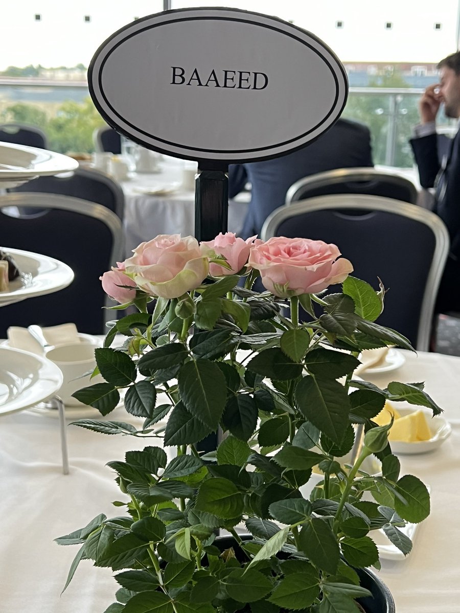 debutantedancer's tweet photo. A grand day @yorkracecourse for day 1 of the @SkyBet Ebor Festival. All credit to the York team, always feels so welcoming being back on the Knavesmire. Great racing, great hospitality, great everything. Roll on tomorrow, “we go again”! #summerracing https://t.co/s7CbAX3ecR