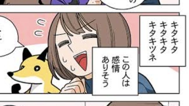 キタキタキタキツネ! https://t.co/Nfmr4pXyNL 
