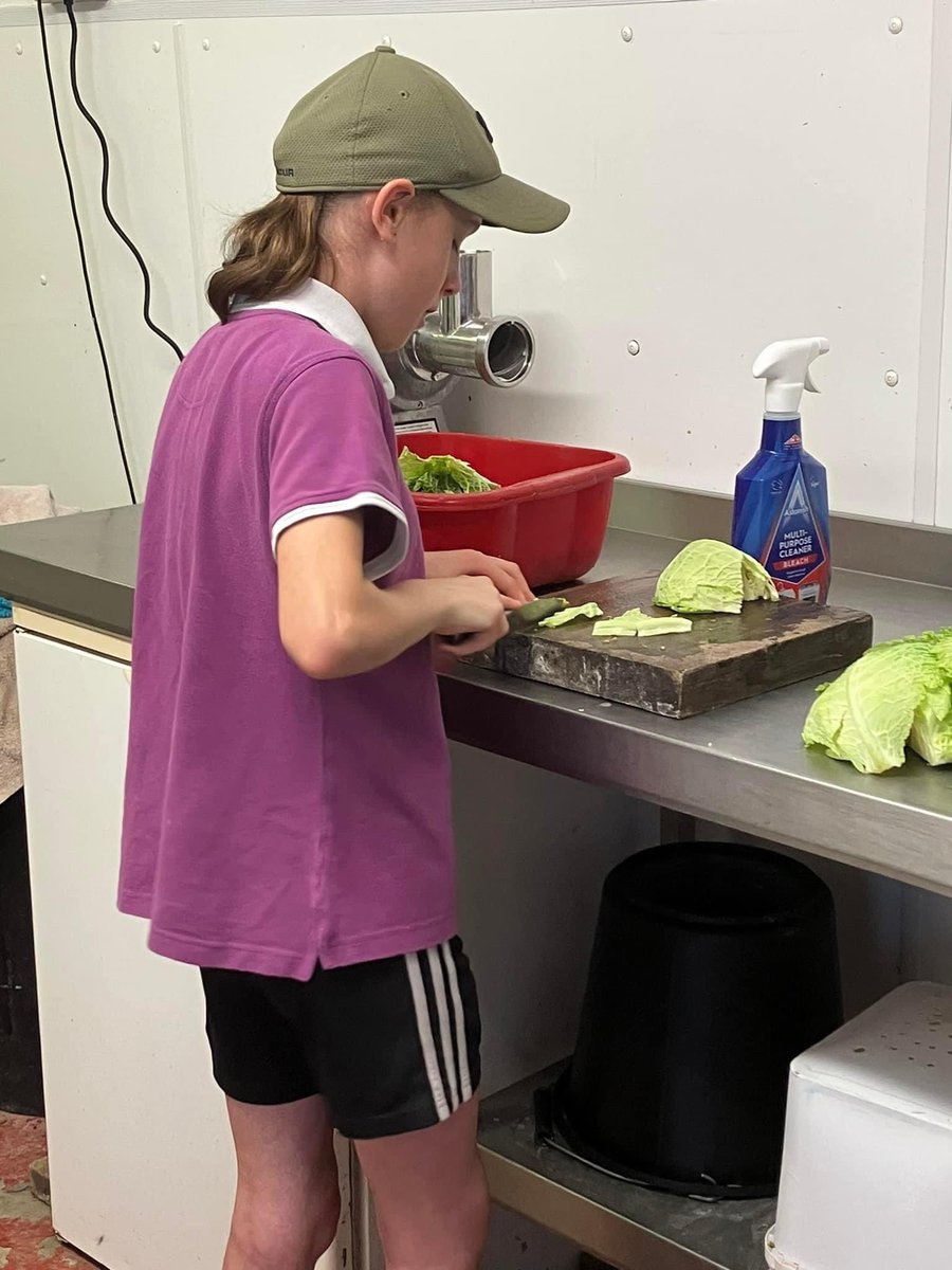adachikennels's tweet photo. Been a great help over the holidays super proud of Ciara always steps up when help is needed. Left to her own jobs and works away.  

#getthekidsinvolved #family https://t.co/o8fI1cTsxb