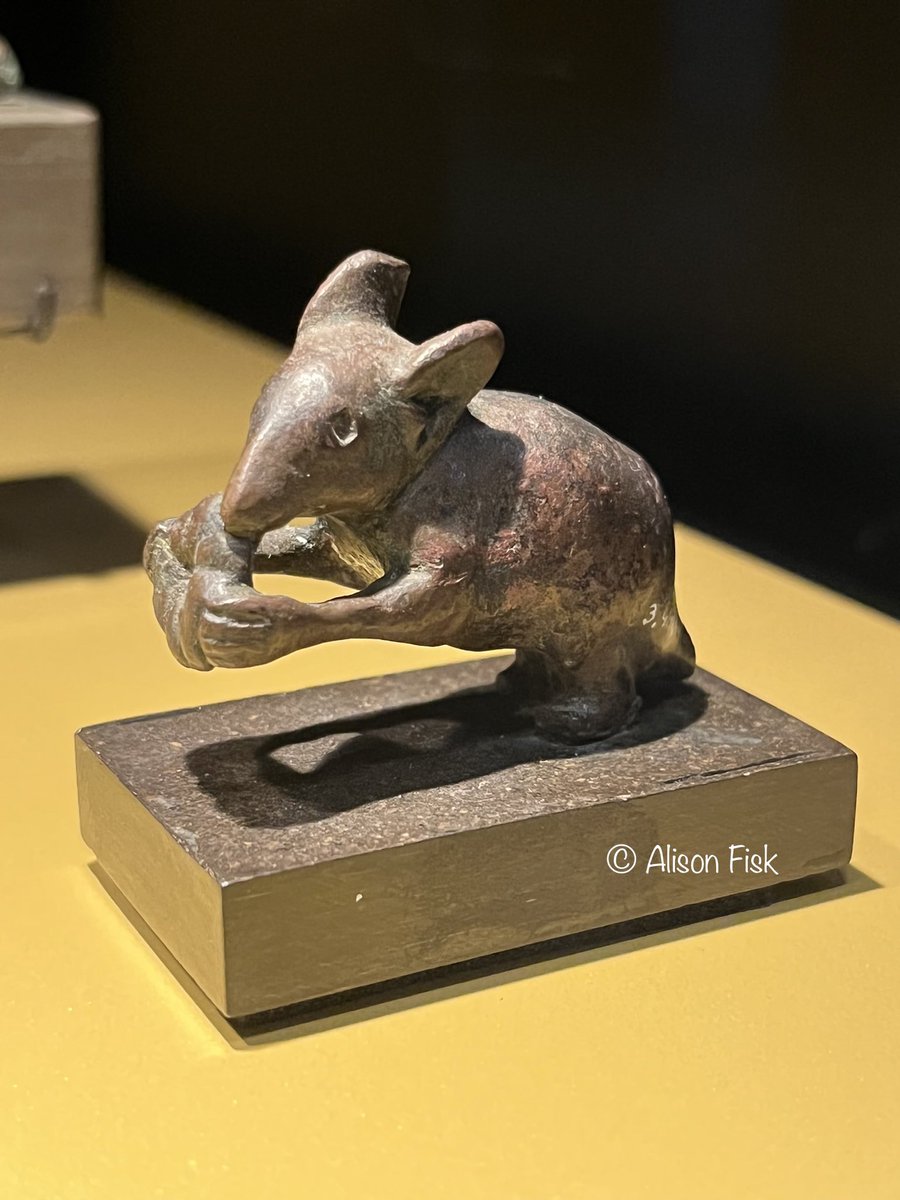 Alison Fisk tweet media