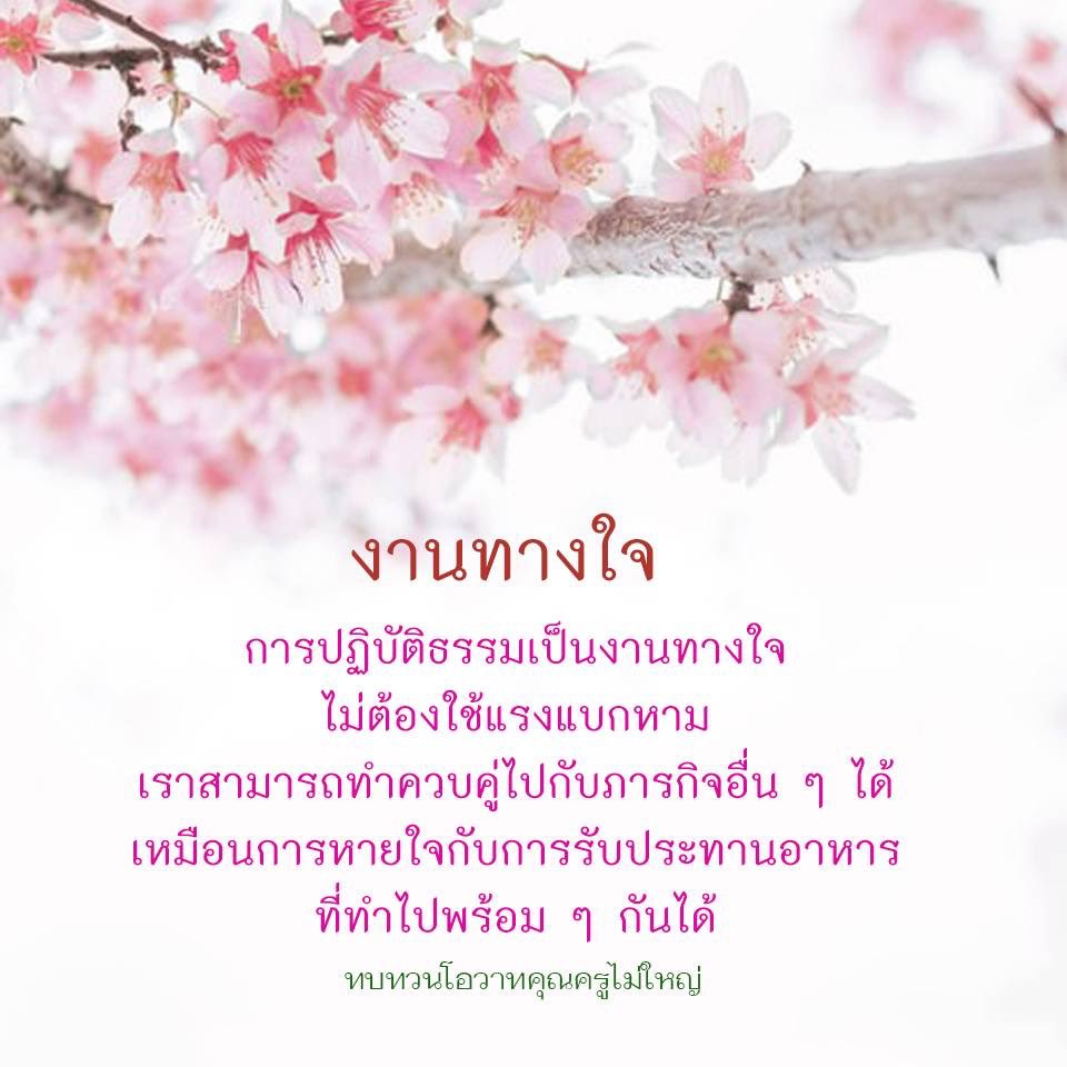 Kopp579's tweet photo. 🌺🍀🌸หยุดให้เป็น เย็นให้พอ รอให้ได้ ง่ายนิดเดียว⭐️🍀🌷 #วันนี้วันพระ https://t.co/wqqyT06LFq