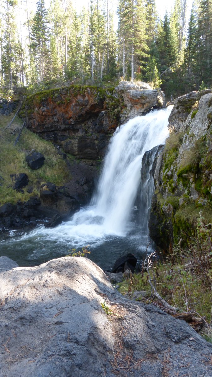 YellowstoneNPS tweet picture