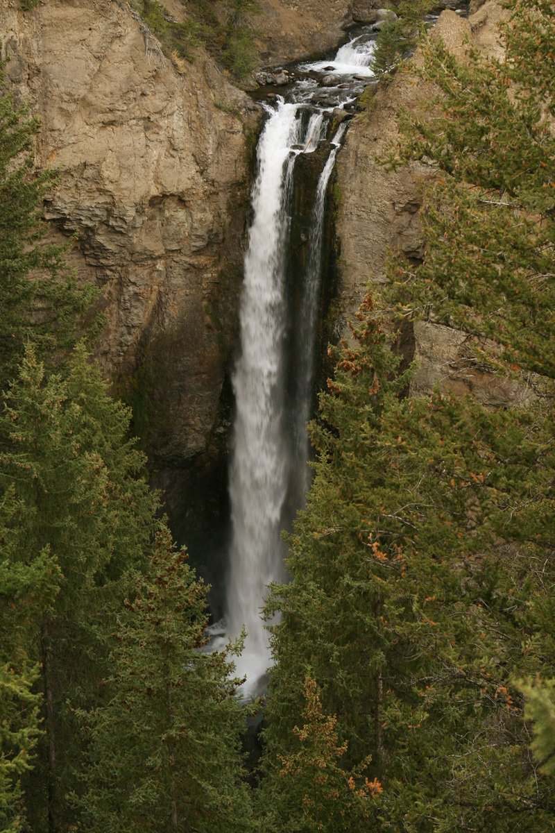 YellowstoneNPS tweet picture