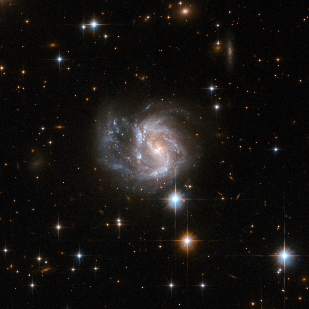 JanKotarzewski's tweet photo. 📷 spacewonder19: Galaxy IRAS 20351+2521 © Hubble https://t.co/Oaq993wmZh

#astrophotography #astronomy #nasa #nebula #galaxy #space #universe #esa #jwst #hubble #palette #art #photo #photograph #astronomylover #stars #cosmos #x #perseids #meteorshower #twitter #cosmosexploration https://t.co/c6qFpTqf5S