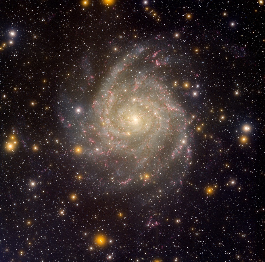 JanKotarzewski's tweet photo. spacewonder19: Hidden Galaxy IC 342 © https://t.co/9RwvUOdTV3

#astrophotography #astronomy #nasa #nebula #galaxy #space #universe #esa #jwst #hubble #palette #art #photo #photograph #astronomylover #stars #cosmos #x #perseids #meteorshower #twitter #cosmosexploration https://t.co/WcPBqzUHKO
