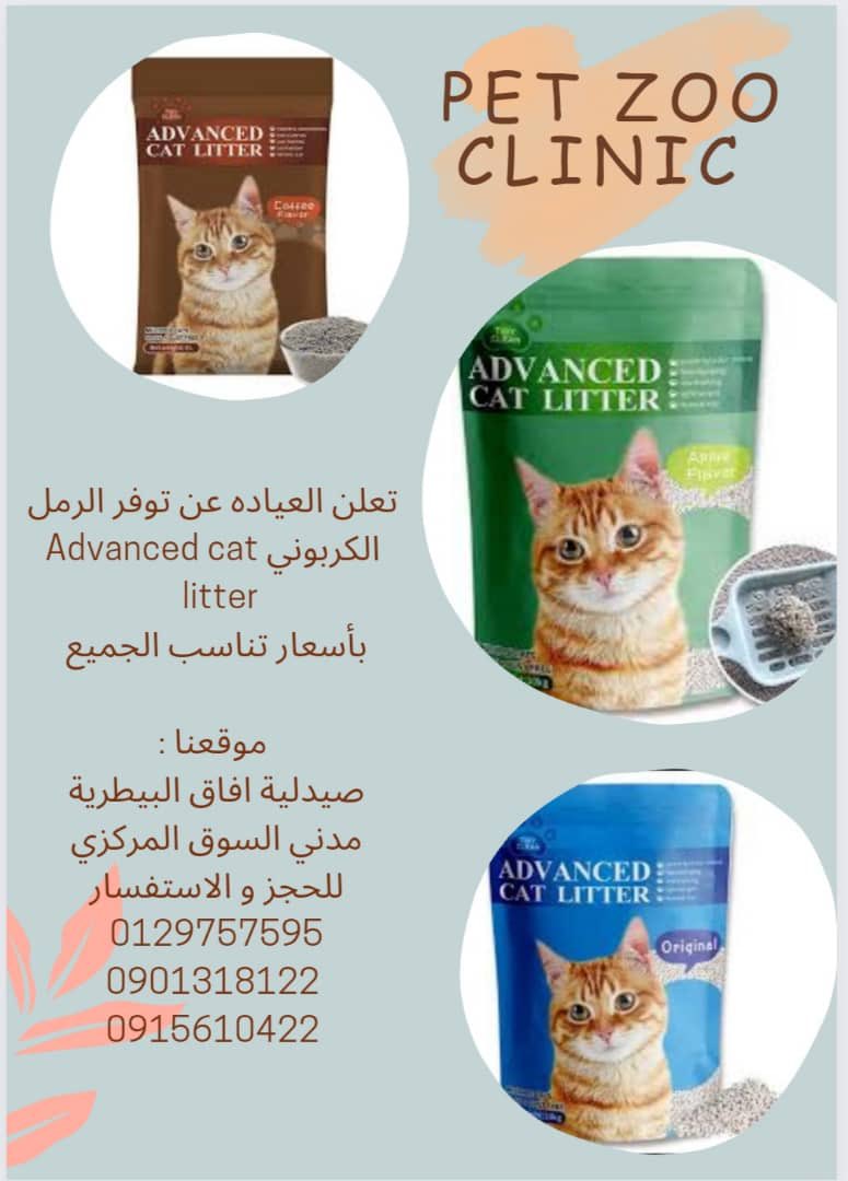 cats_ambition's tweet photo. ناس مدني 🔥🔥🔥 https://t.co/xrsJQhpJXg