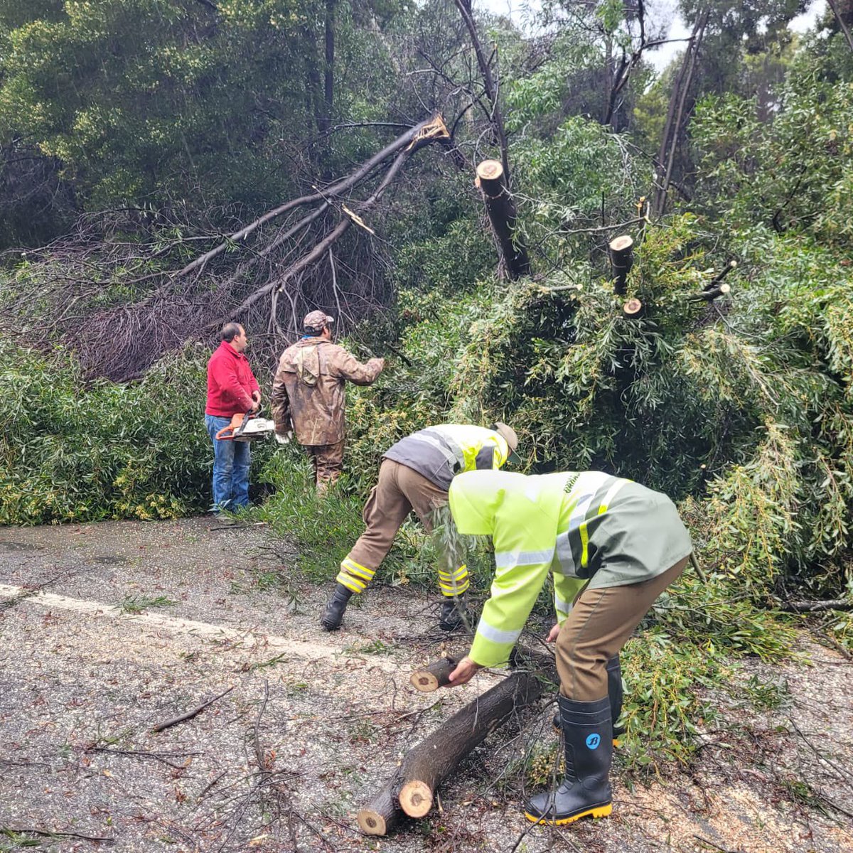 Ejercito_Chile's tweet photo. Los #Soldados del Regimiento N°19 "Colchagua", realizan trabajos de despeje de caminos para habilitar el tránsito que ha sido interrumpido debido al temporal e inundaciones que han afectado a la región de #OHiggins .
#EjércitoEnAcción🇨🇱 https://t.co/b0XktdV8fw