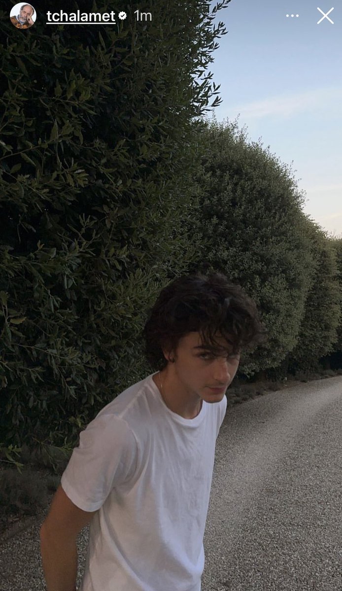 TIMOTHÉE POSTING SUMMER 2023 !!!