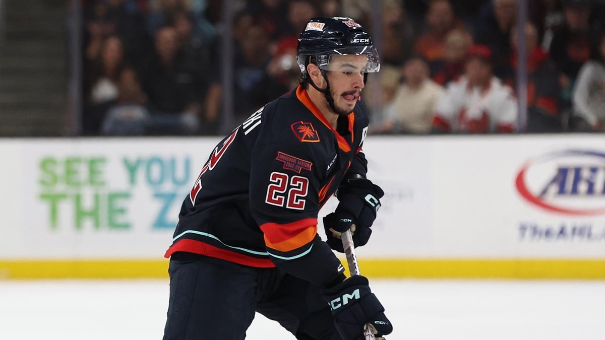 American Hockey League tweet media