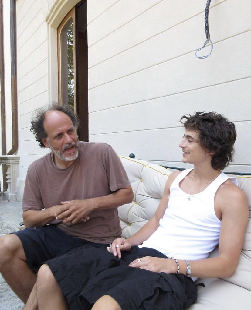 call me by your name tweet media