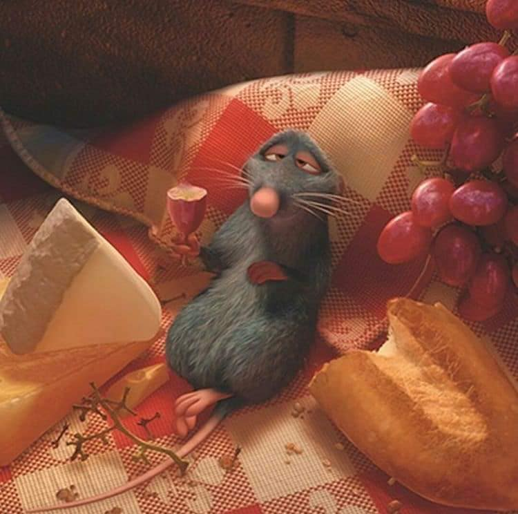 poptime's tweet photo. Há 16 anos, a memorável animação de "Ratatouille" era lançada. ✨ https://t.co/Q7ScRB9NLK