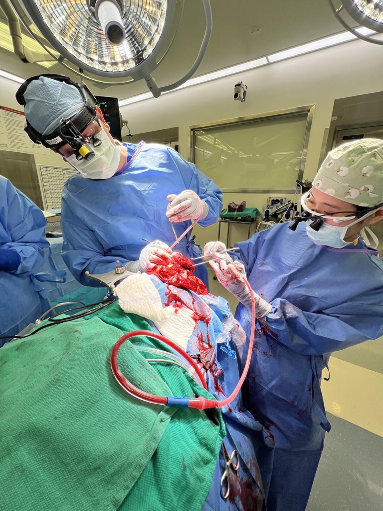 More from the OR with @lilykim_md: operating with Kevin Kumar MD, PhD (@kevinkumar) (graduated last year, current peds chief) on a Sunday on a large brain tumor. #SUresidentTakeover