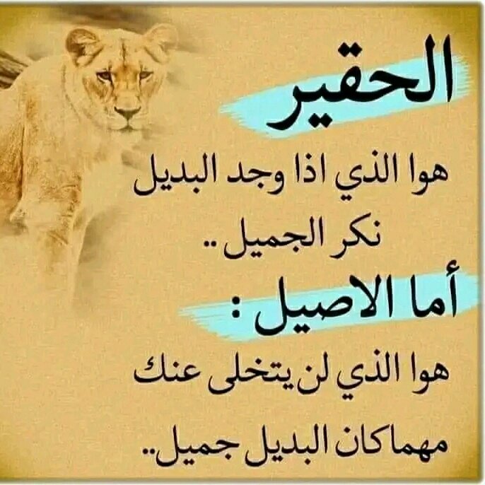 بصنعاء tweet media