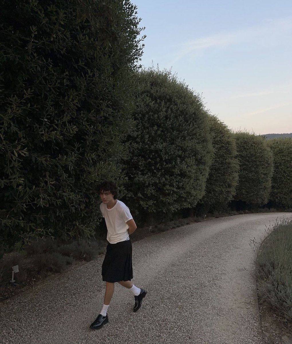 kylieversac's tweet photo. i like men (timothée chalamet ) https://t.co/mOBCrWHUTG