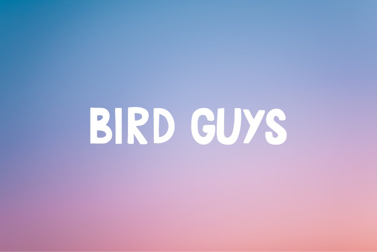 BirdGuys | NFT Collection tweet media