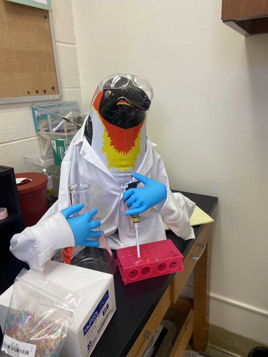 dr_kisobella's tweet photo. The newest member of the @CobineLab @Emernib11 #PebblesLabLife @geneseesci what he lacks in opposable thumbs he makes up with in his data. https://t.co/bfOrJTNi1U
