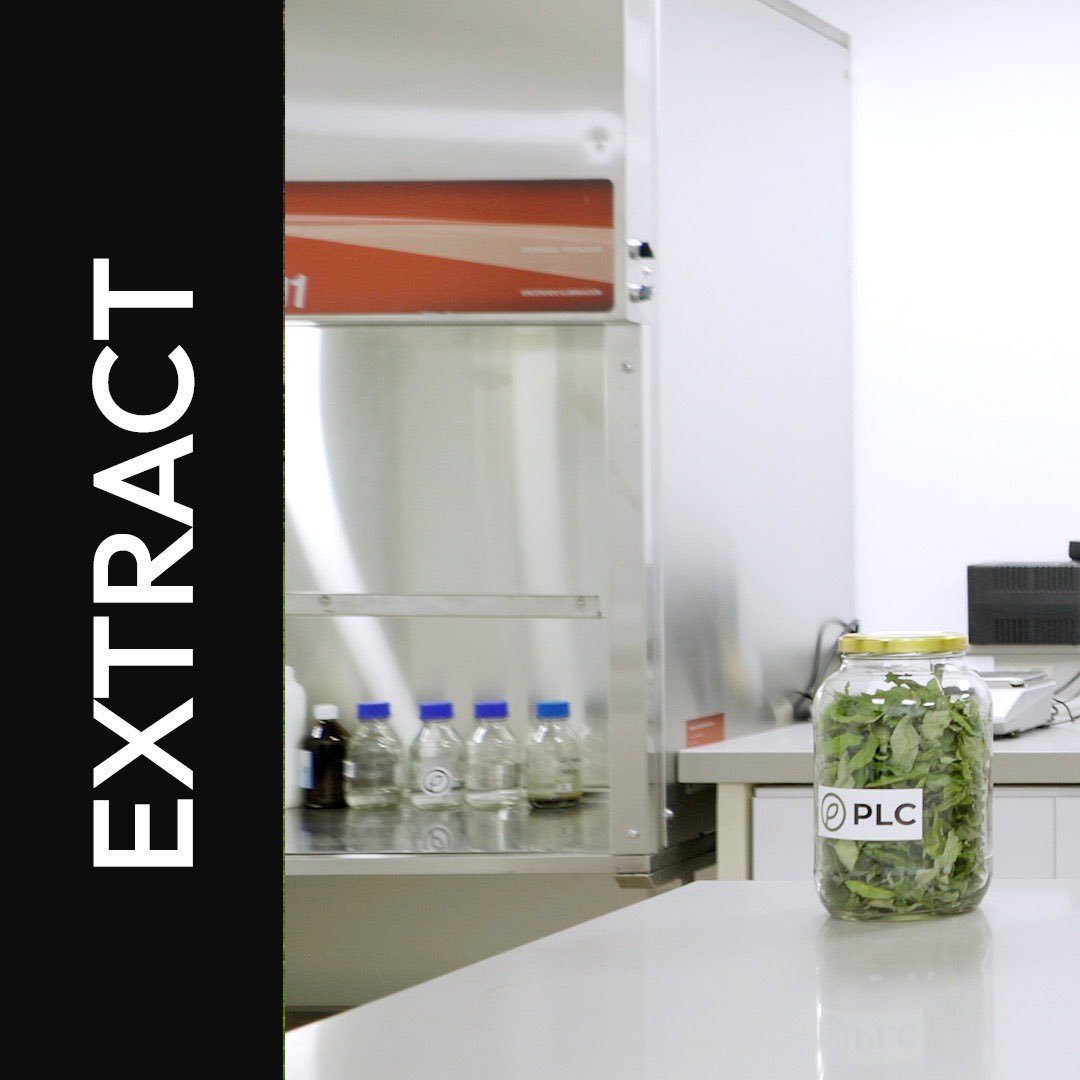 powerleavescorp's tweet photo. After successful R&D efforts, our proprietary coca extract formulation has been optimized for flavor and aroma unique to Power Leaves Corp. Our coca extract serves as the foundation of our commercial products.🌱
#cocaleaf #coca #cocaextract #decocainized #foodandbeverage https://t.co/IRcygGHxsx
