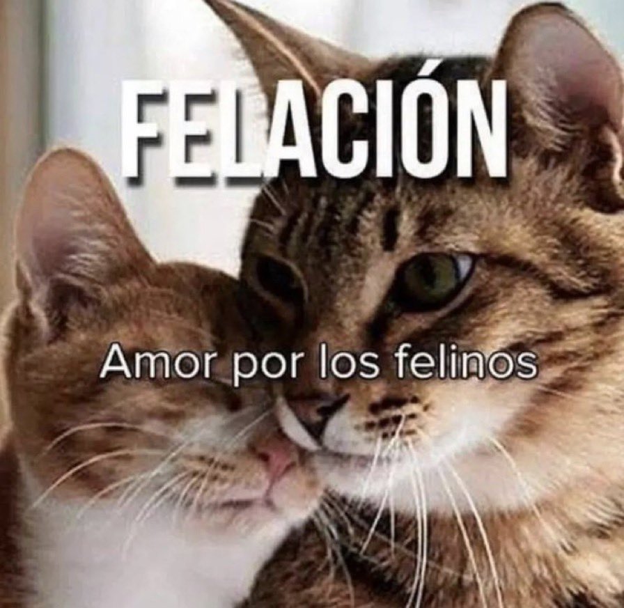 Tornex (@tornex0) on Twitter photo 