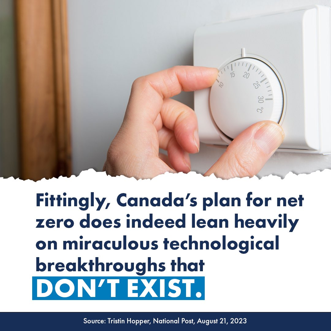 Rebecca Schulz tweet media