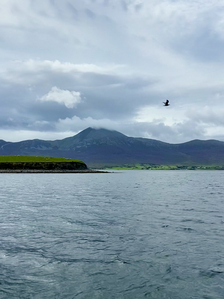 Today a boat trip around Clew Bay and a walk to the deserted village on Achill Island.☘️🤍💛
#NursesActive
#ImperialActive