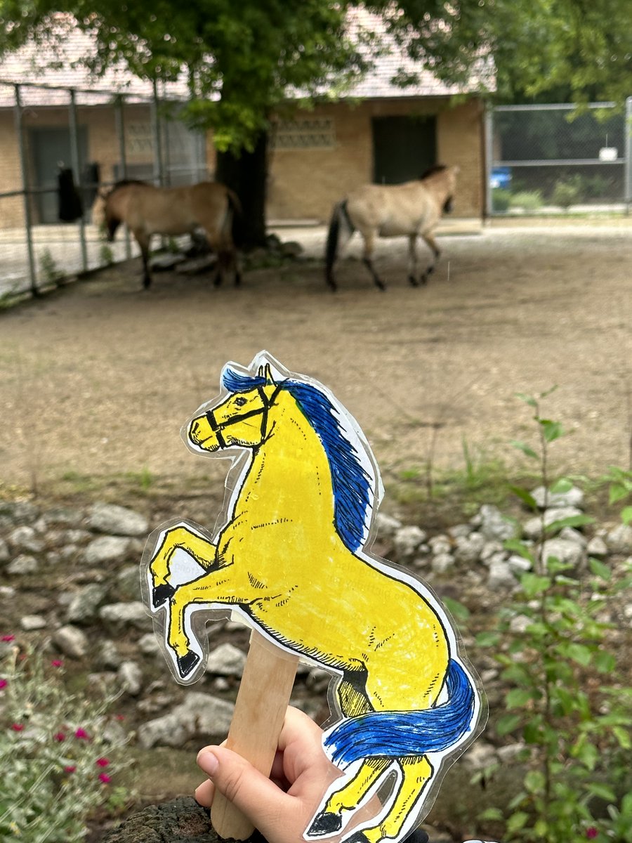 Flat Mustang tweet media