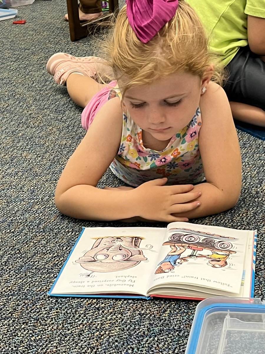 Sharon Shannon Elementary Library tweet media