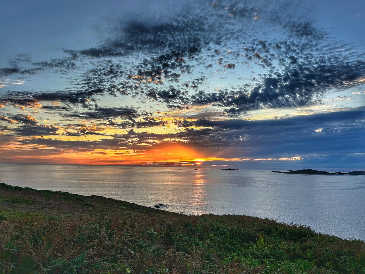 Neil Powell💙 tweet media