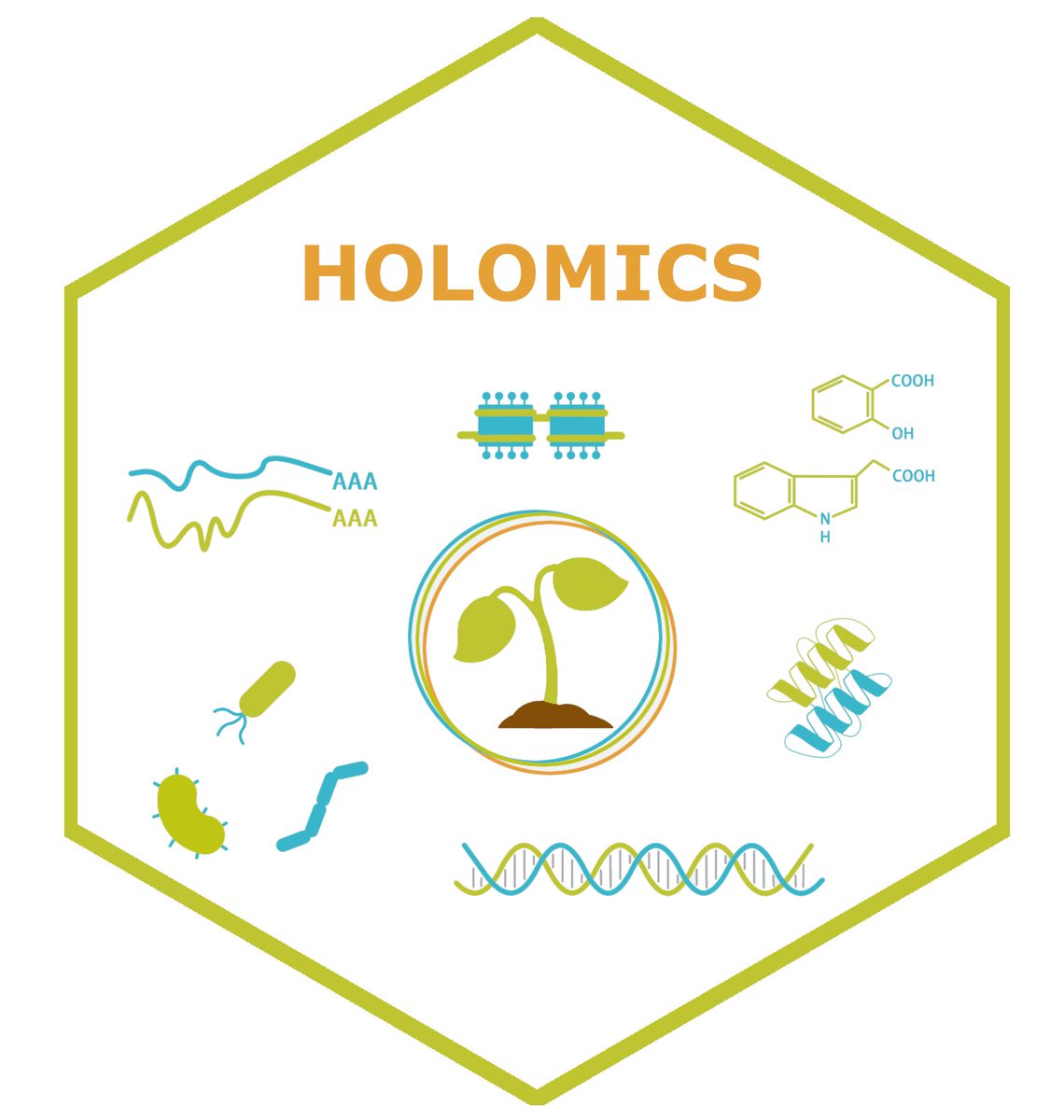 Package release alert! ✨Our package for the amazing R shiny app HOLOMICS has just been released! ✨ Holomics offers a user-friendly platform for #multiomics analysis. Kudos to the main developer, Katharina Munk! 👏 cran.r-project.org/web/packages/H…

#rshiny #shinyapp #bioinformatics