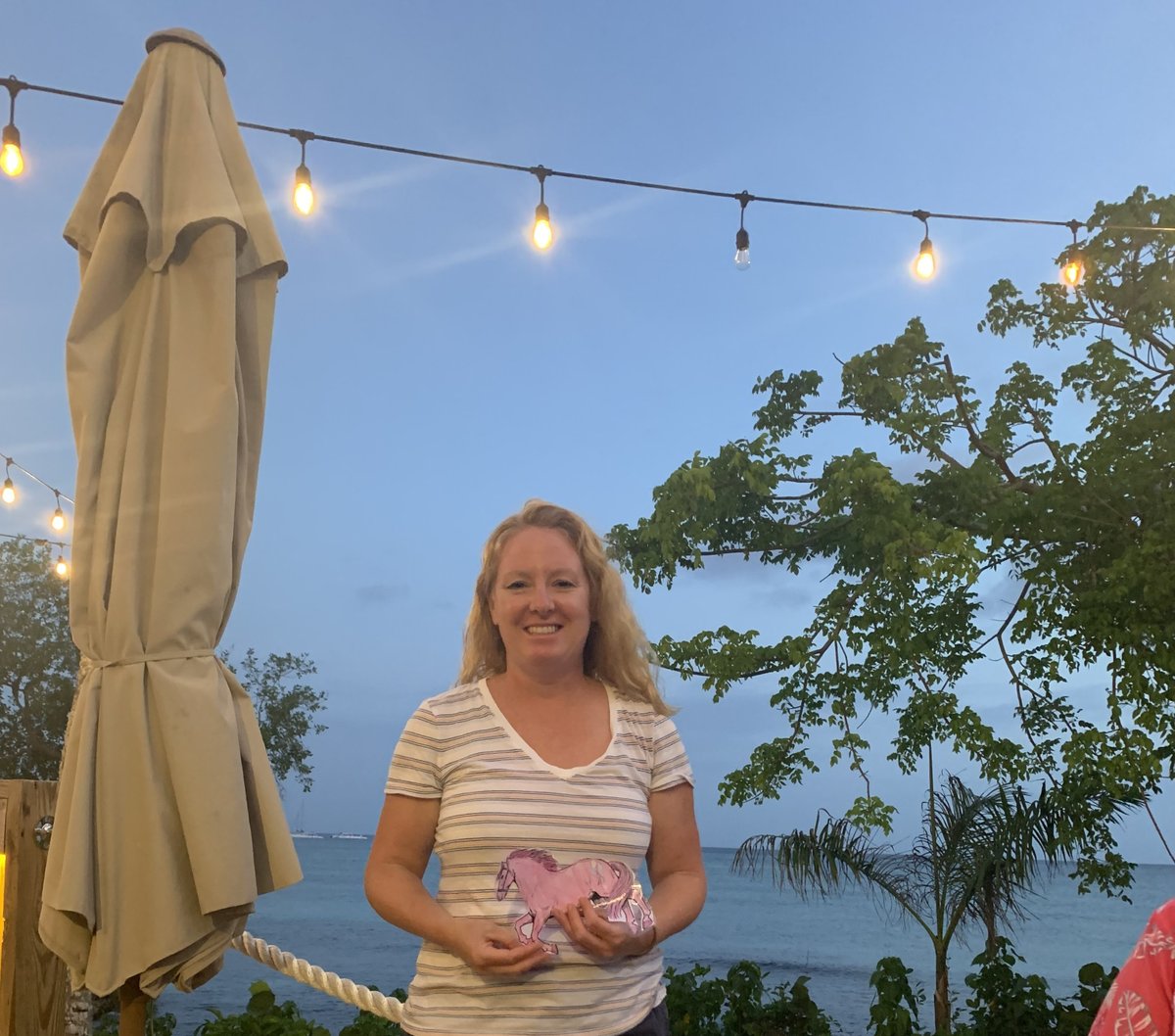 Flat Mustang tweet media