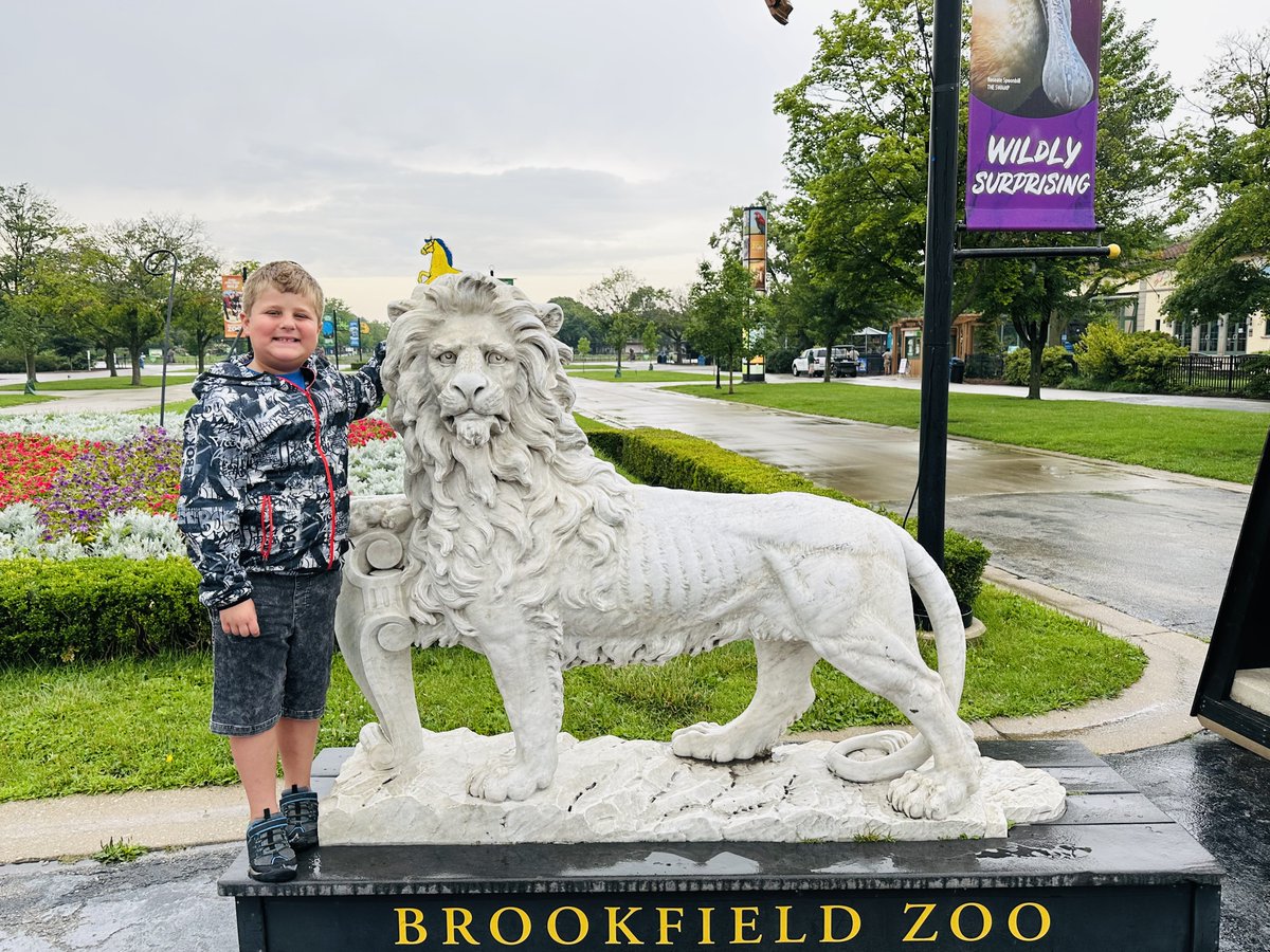 Flat Mustang tweet media