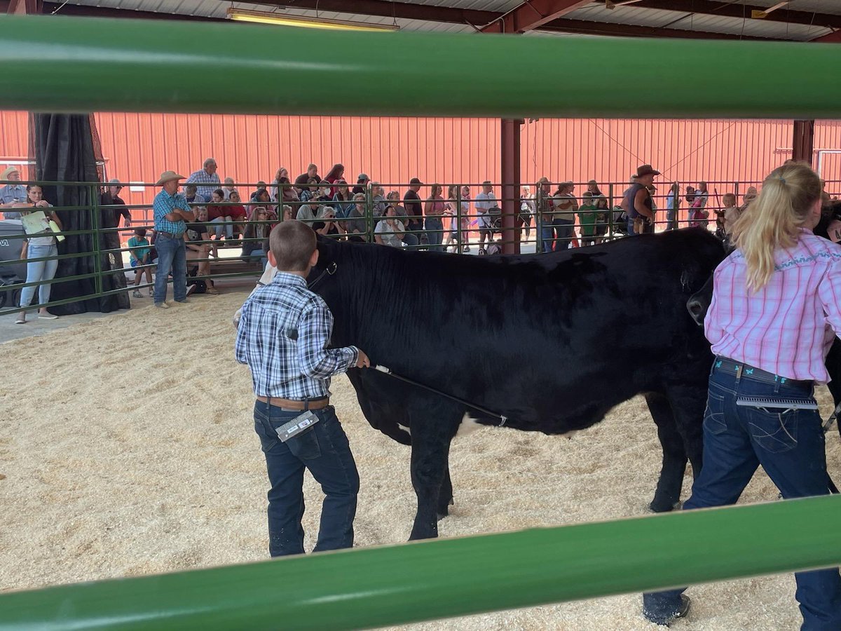 TheDailyCowman's tweet photo. Another great day 

Grandson did great blue ribbon in fitting and showing

Now back home to chores and prep for another night of whiskey, rodeo and general debauchery

#BestWeekOfSummer #HorseHeavenRoundup https://t.co/acbJzsGjF9