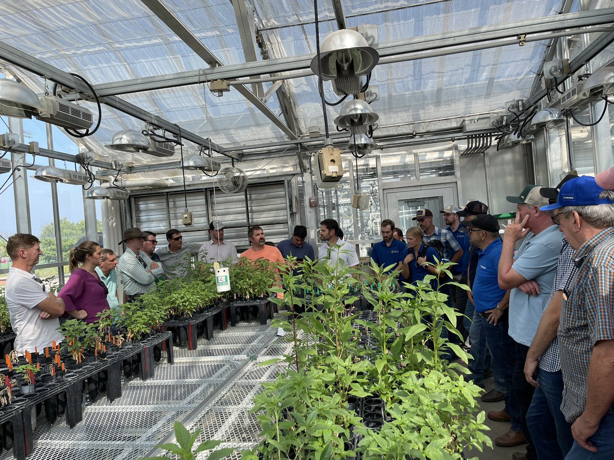 Rodrigo Werle tweet media