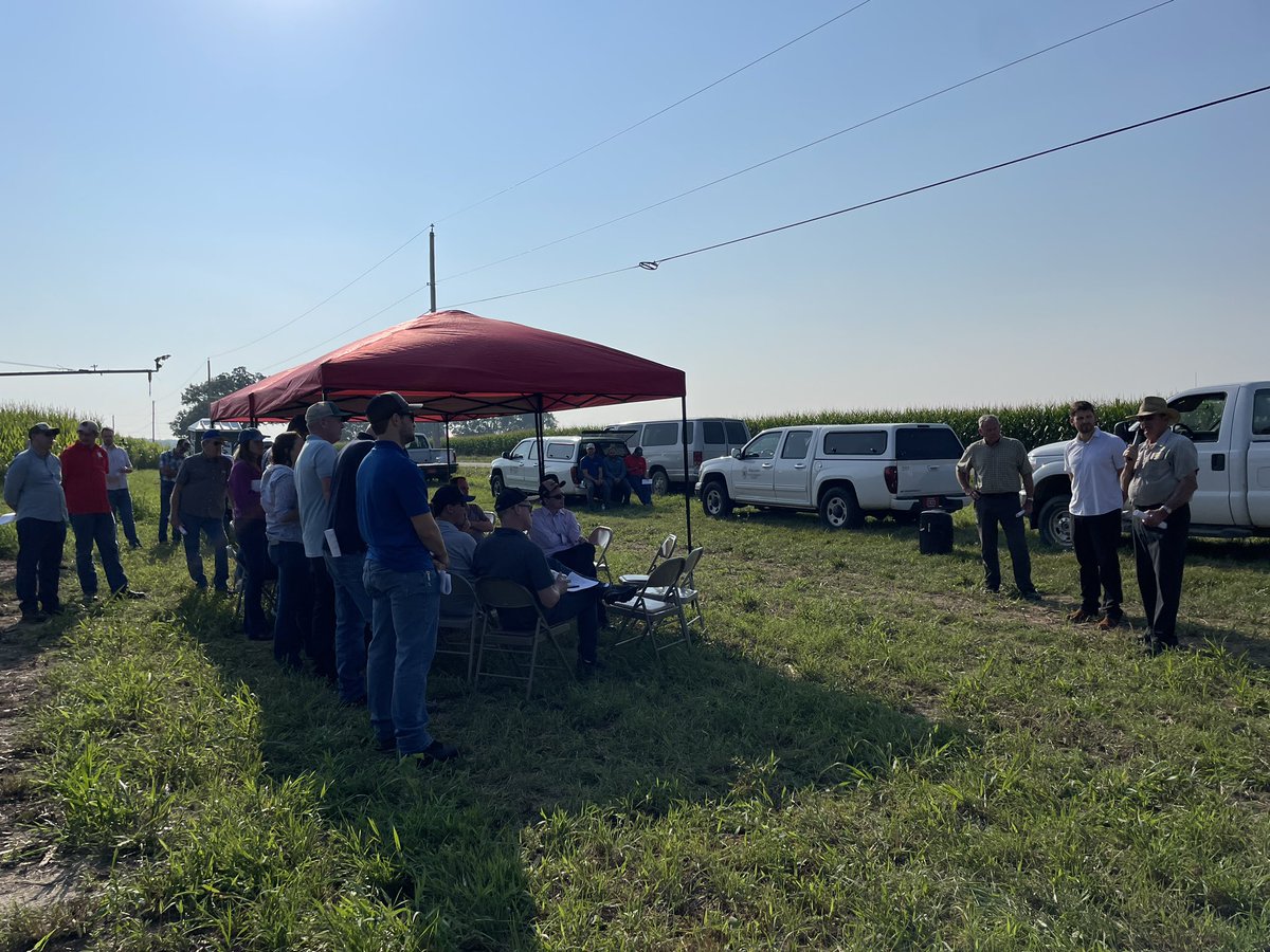 Rodrigo Werle tweet media