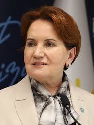 MetinErgun48's tweet photo. Hayatı devleti yıkmaya ve devlete sızmaya çalışan her türlü örgüte karşı mücadele ile geçmiş devlet şuuruna sahip lider. @meral_aksener https://t.co/9POEHIZGye