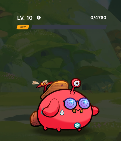 axiekingaruchan's tweet photo. みんなアクシーをちゃんとレベルアップ(Ascend)してますか?👀
Originsをプレイすると、アクシーの個体レベルが1→9、10→19、20→29、と最大Lv. 30まで上げることができます!🚀
近い将来(最速で年内)にアクシーのパーツアップグレードが実装される時にレベル30まで上がっていないとアップグレードできないので、今のうちにレベル上げをしておきましょう!🥳
レベルアップ方法は画像を見てね!👇
管理画面はこちらから:
https://t.co/gKjjAXSGAK
AXPについての詳細はこちら:
https://t.co/1vcwRxYAT3