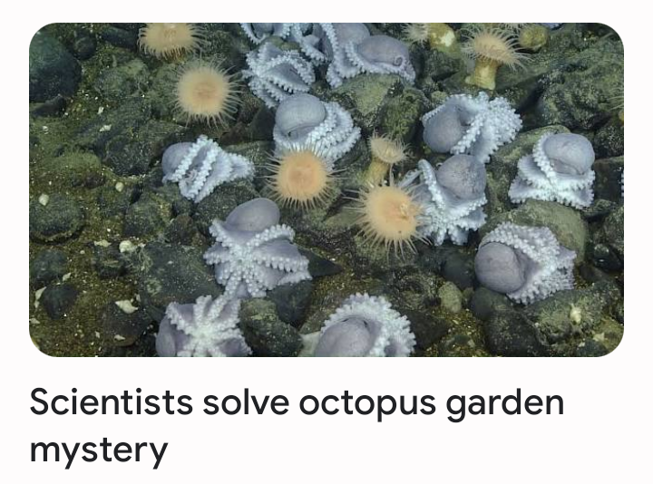 senorbaub's tweet photo. Jeez, Scientists! Quit spoiling mysteries!! https://t.co/lwTyBN6ZAP