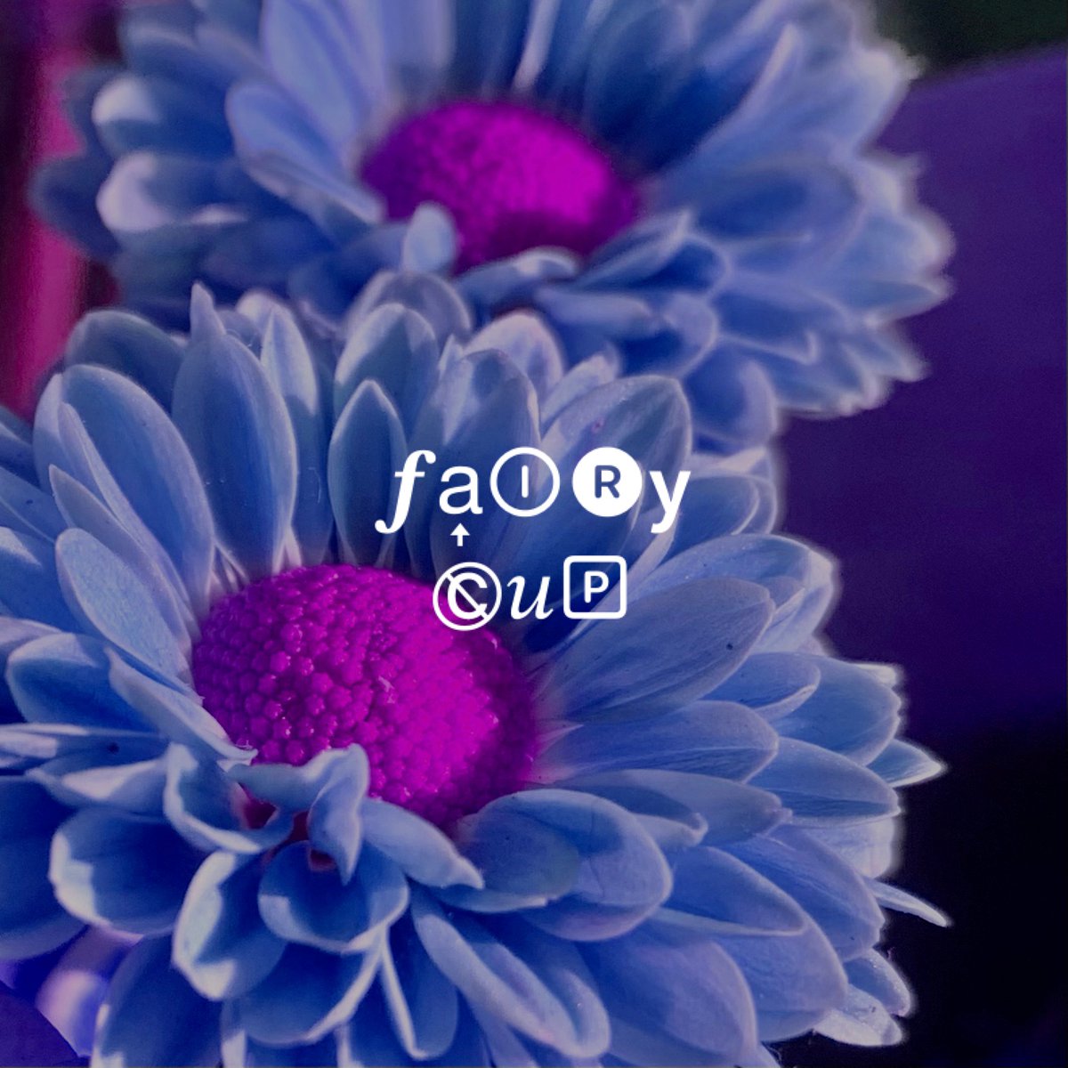 closegood's tweet photo. the first amada sample pack FAIRY CUP VOL. 111 is out now 🖤

https://t.co/KSSiRYBoBs https://t.co/PXgNhXUPYx