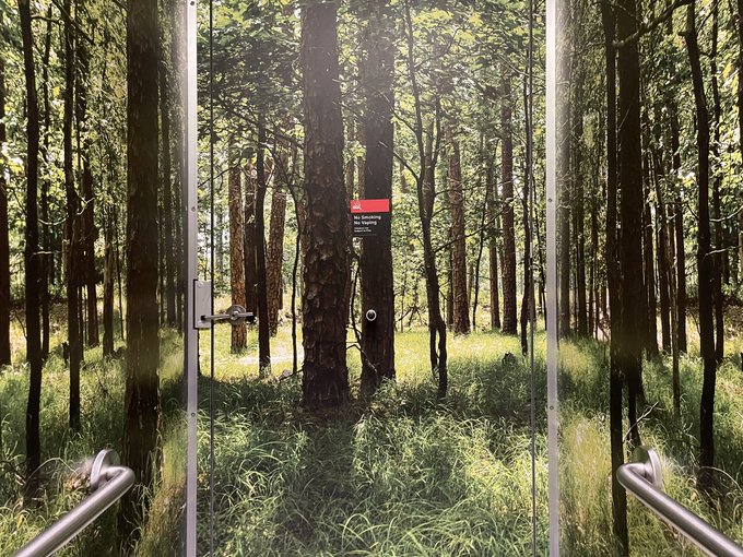 This is the bathroom at Newark Airport. I felt like a bunch of Ewoks should be staring at me. https://t