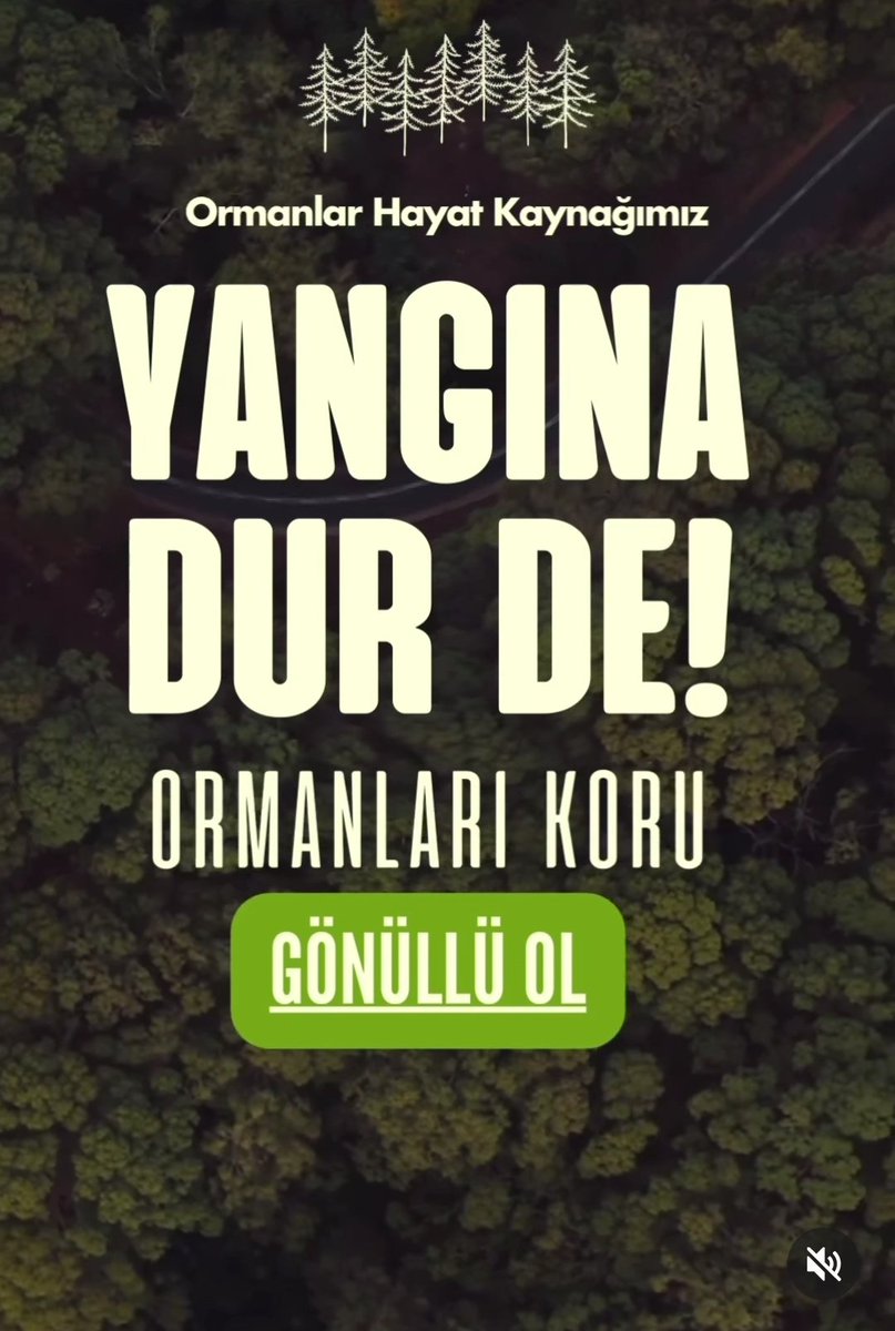 Yakma yaşat!!!
#ormanlarımızyanıyor
#Canakkaleyaniyor