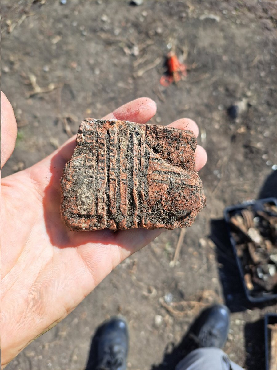 kentarchaeolog1's tweet photo. Some excellent #Roman archaeology from the site Studying History & Archaeology in Lympne are investigating with assistance from KAS. #Archaeology #smallfinds #zooarchaeology https://t.co/17TDingyt6