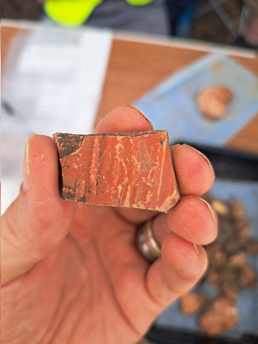 kentarchaeolog1's tweet photo. Some excellent #Roman archaeology from the site Studying History & Archaeology in Lympne are investigating with assistance from KAS. #Archaeology #smallfinds #zooarchaeology https://t.co/17TDingyt6