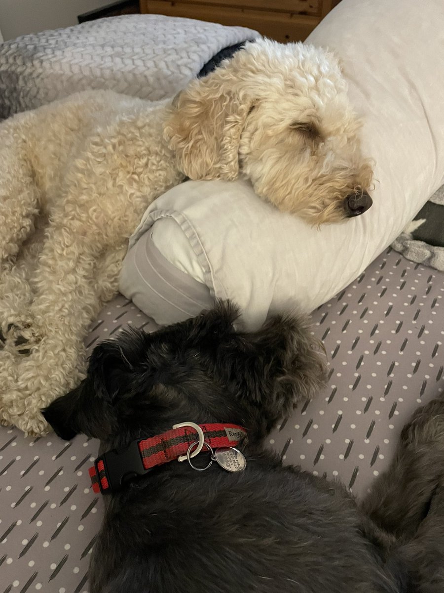 Claudia Money tweet media